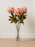Scottish Everlastings Ltd 3 Pack Cream Artificial Peony Stems 73cm