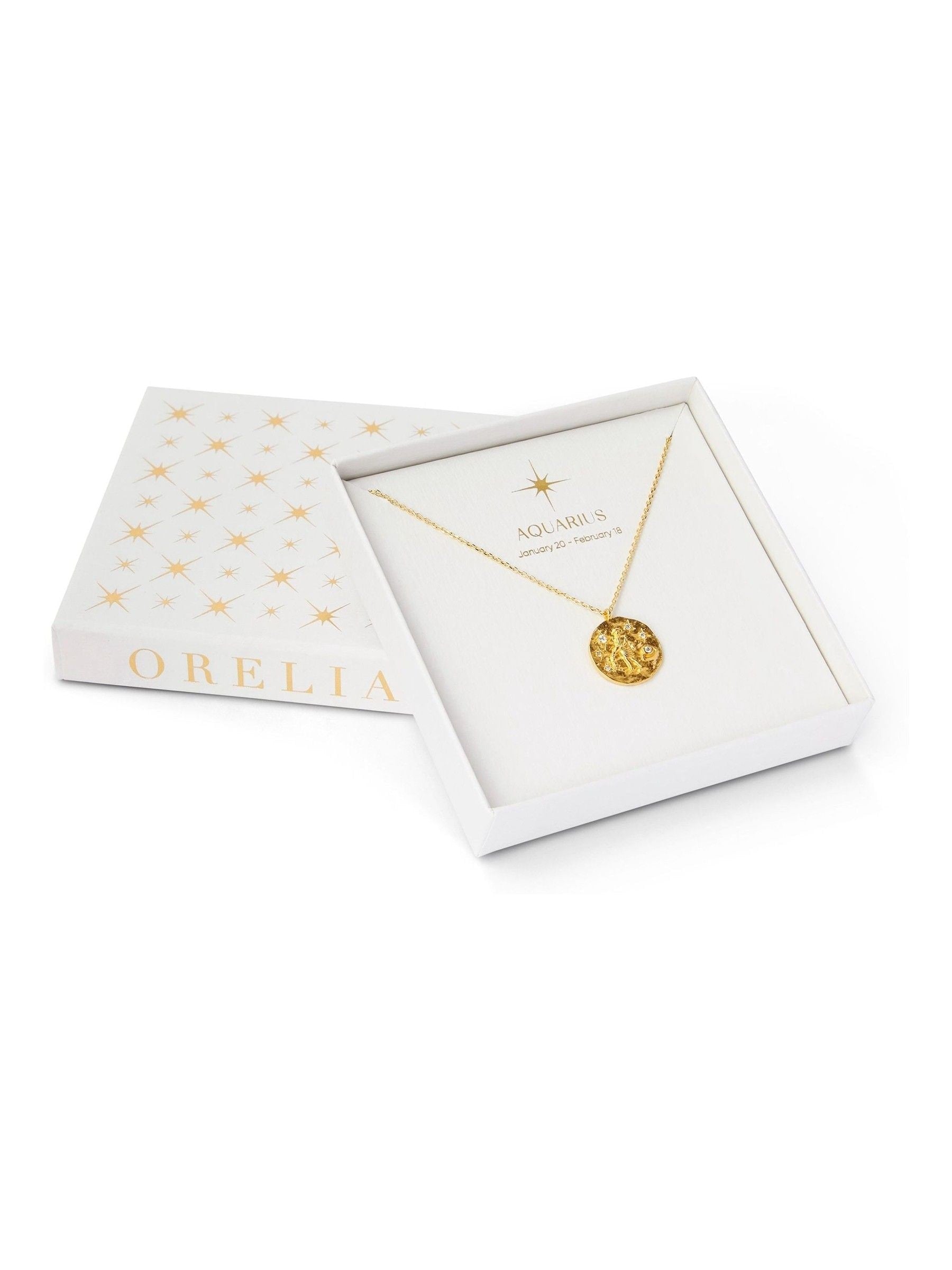 Orelia London Gold Capricorn Zodiac Necklace
