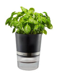 GEFU Botanico Herb Pot self-watering system, UK version