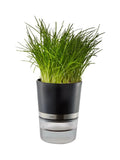 GEFU Botanico Herb Pot self-watering system, UK version