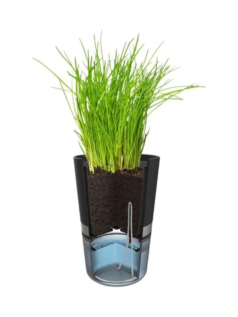 GEFU Botanico Herb Pot self-watering system, UK version