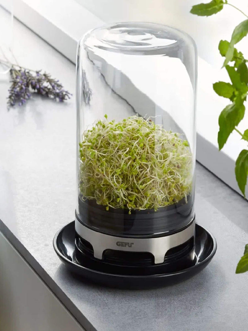 GEFU sprouting jar in black or silver - British product