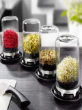 GEFU sprouting jar in black or silver - British product