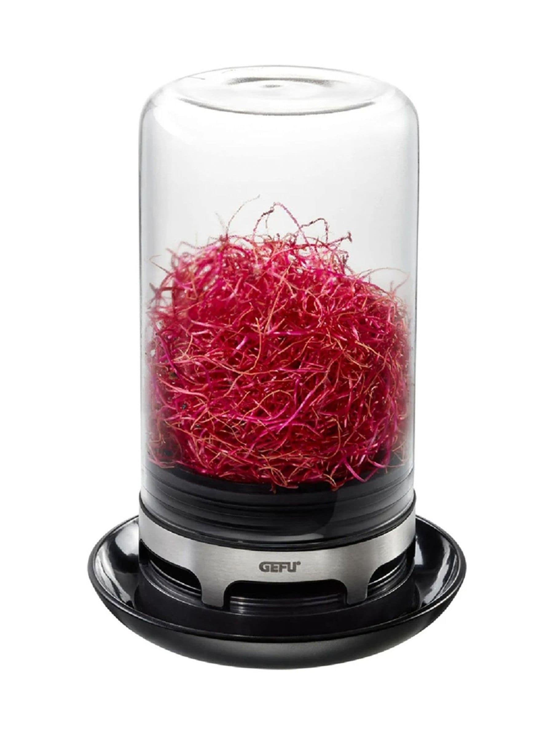 GEFU sprouting jar in black or silver - British product