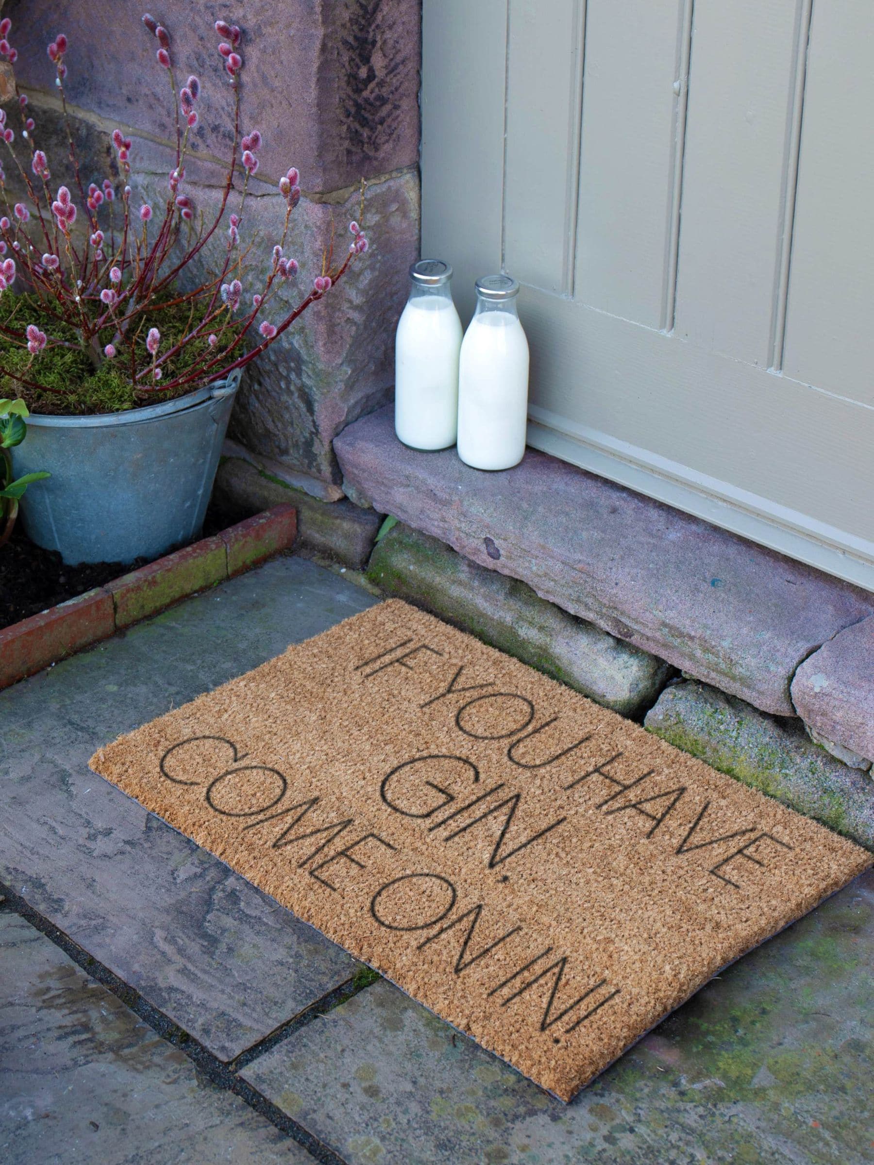 Artsy Mats coir gin doormat 60x40cm (British brand)
