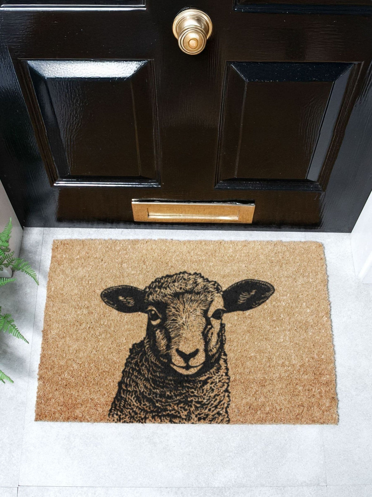Artsy Mats brown lamb doormat 60x40cm, imported from the UK