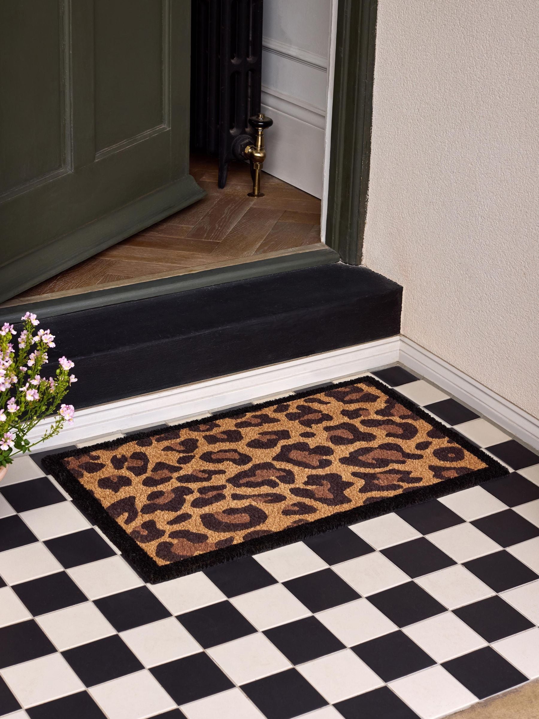 My Mat leopard border coir doormat 75x45cm, imported from the UK