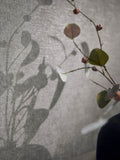 Galerie Wallcoverings Grey Horizon Plain Texture 10.05M Wallpaper