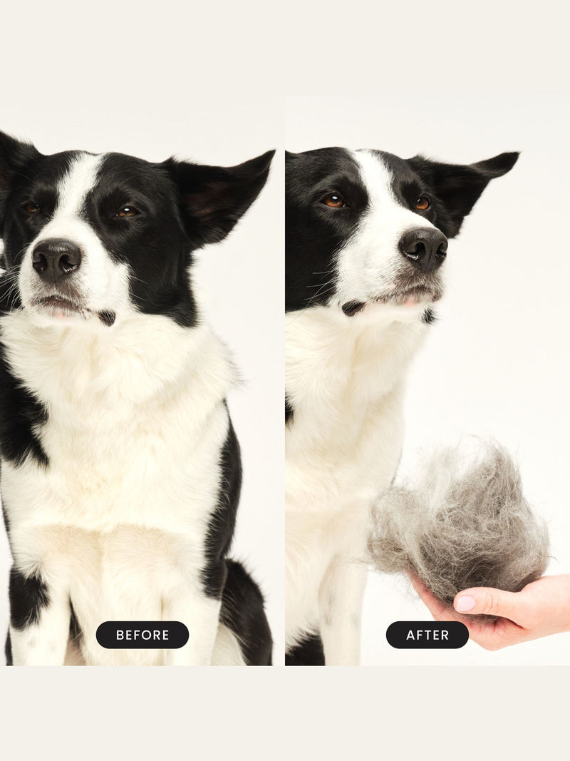Tangle Teezer de-shedding dog grooming brush large, imported from the UK
