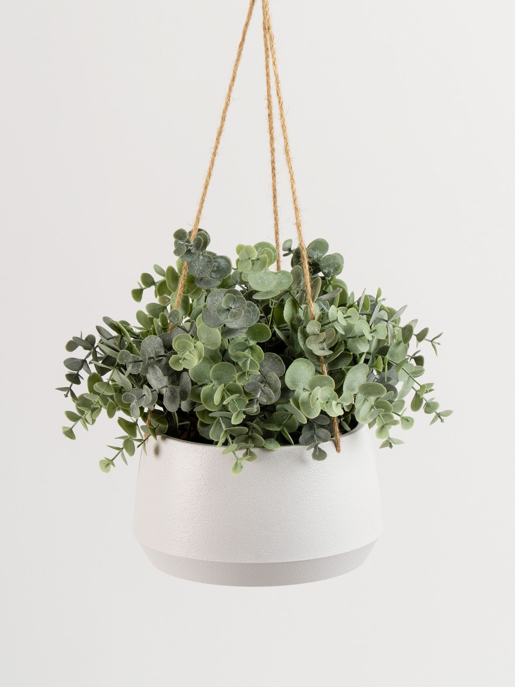 Scottish Everlastings faux hanging eucalyptus pot (British brand)