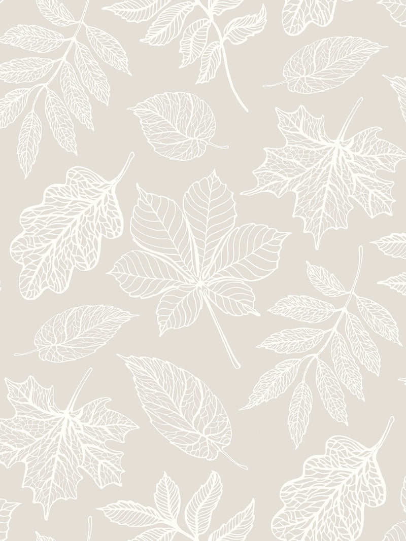 Hoopla Walls Dusty Sage Leaf Silhouette Wallpaper Sample (A4)
