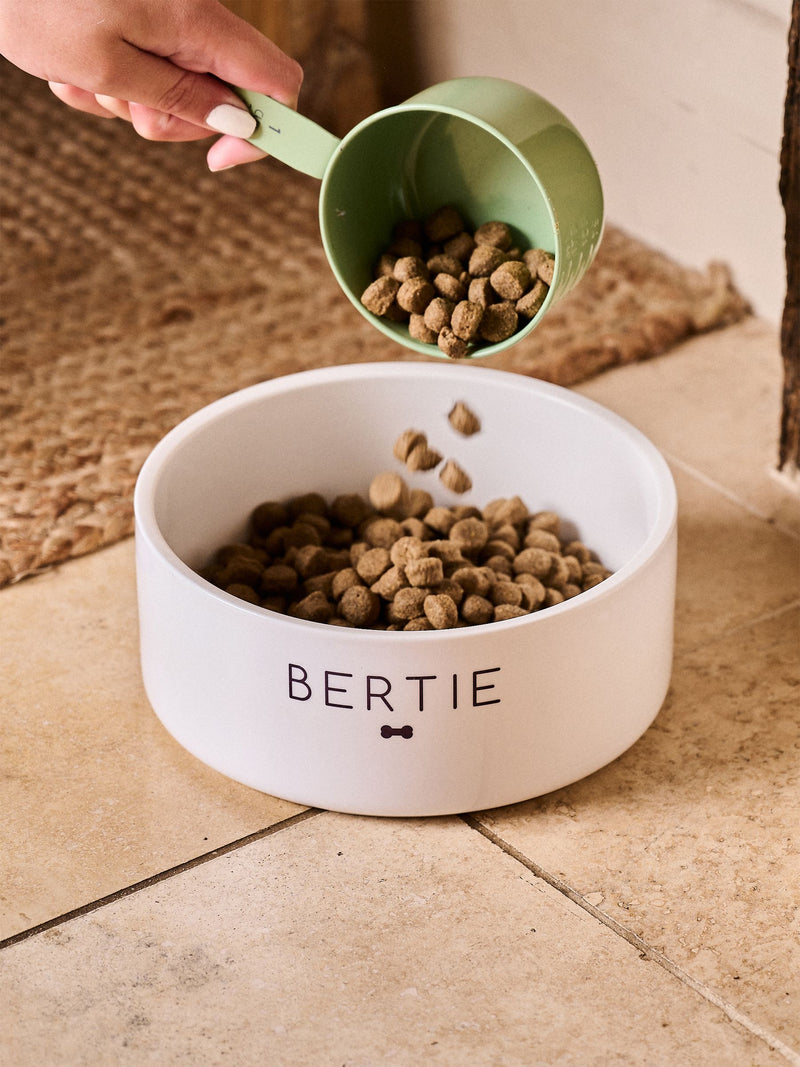 No Ordinary Gift personalised pet bowl bone pattern small, UK version