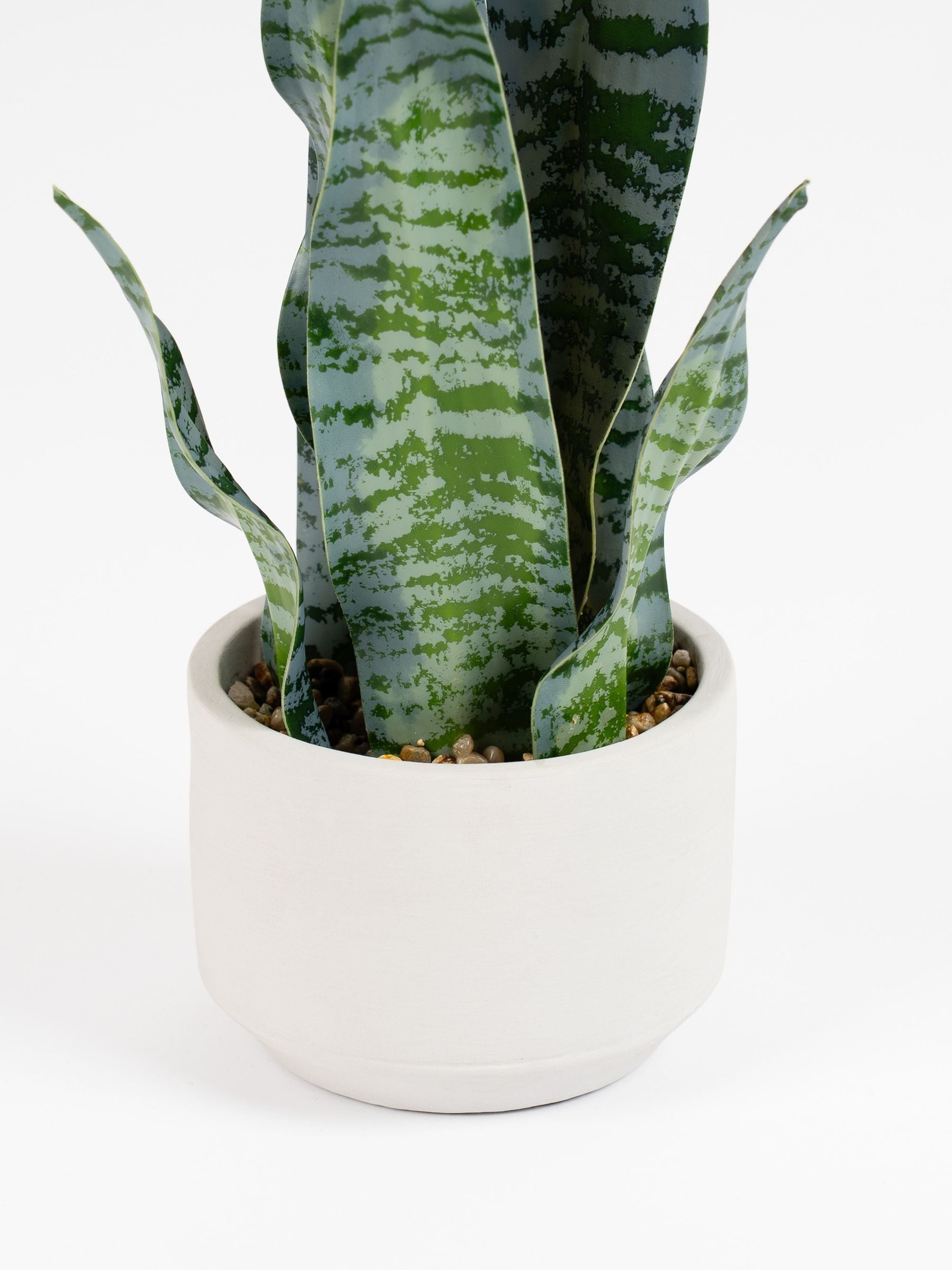 Scottish Everlastings artificial sansevieria green cement pot 48cm, UK version