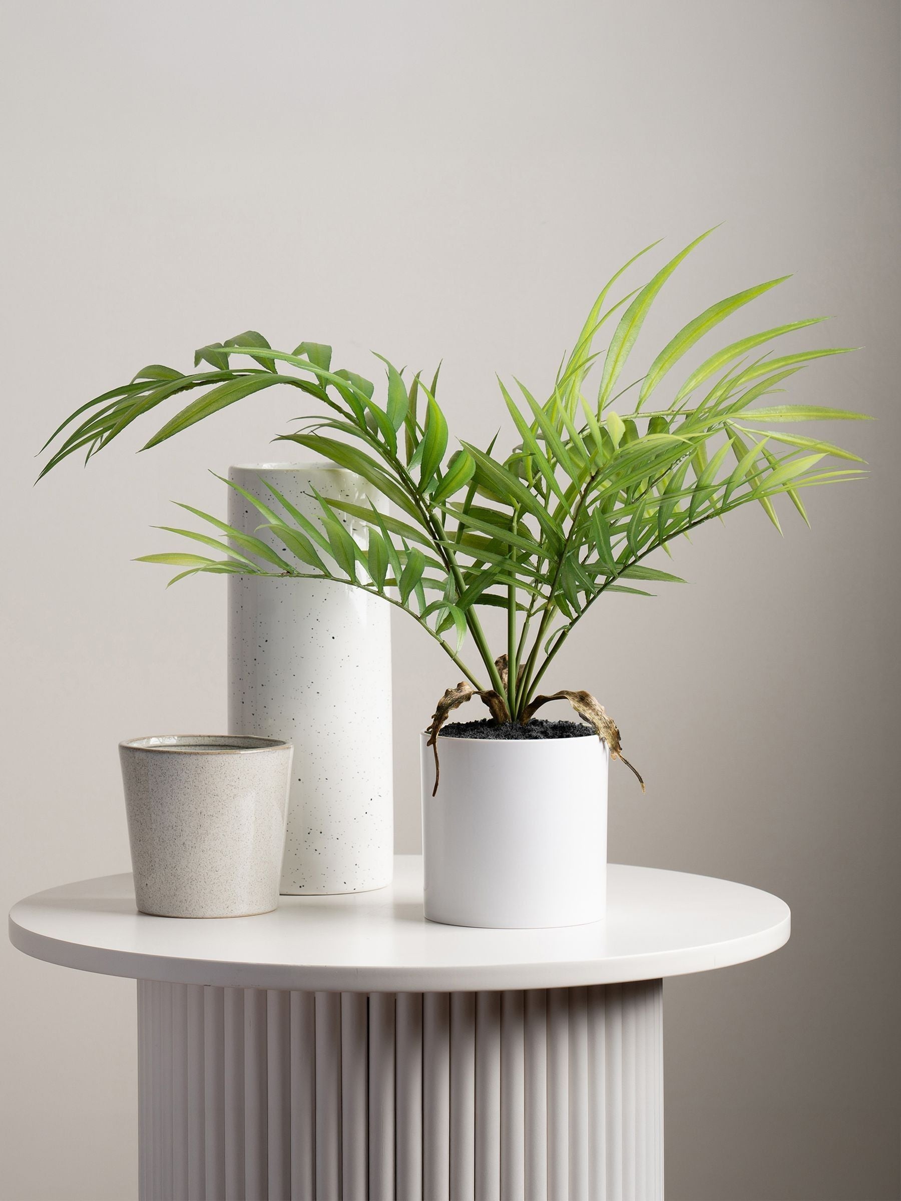 Scottish Everlastings artificial fern tree 40cm, imported from the UK