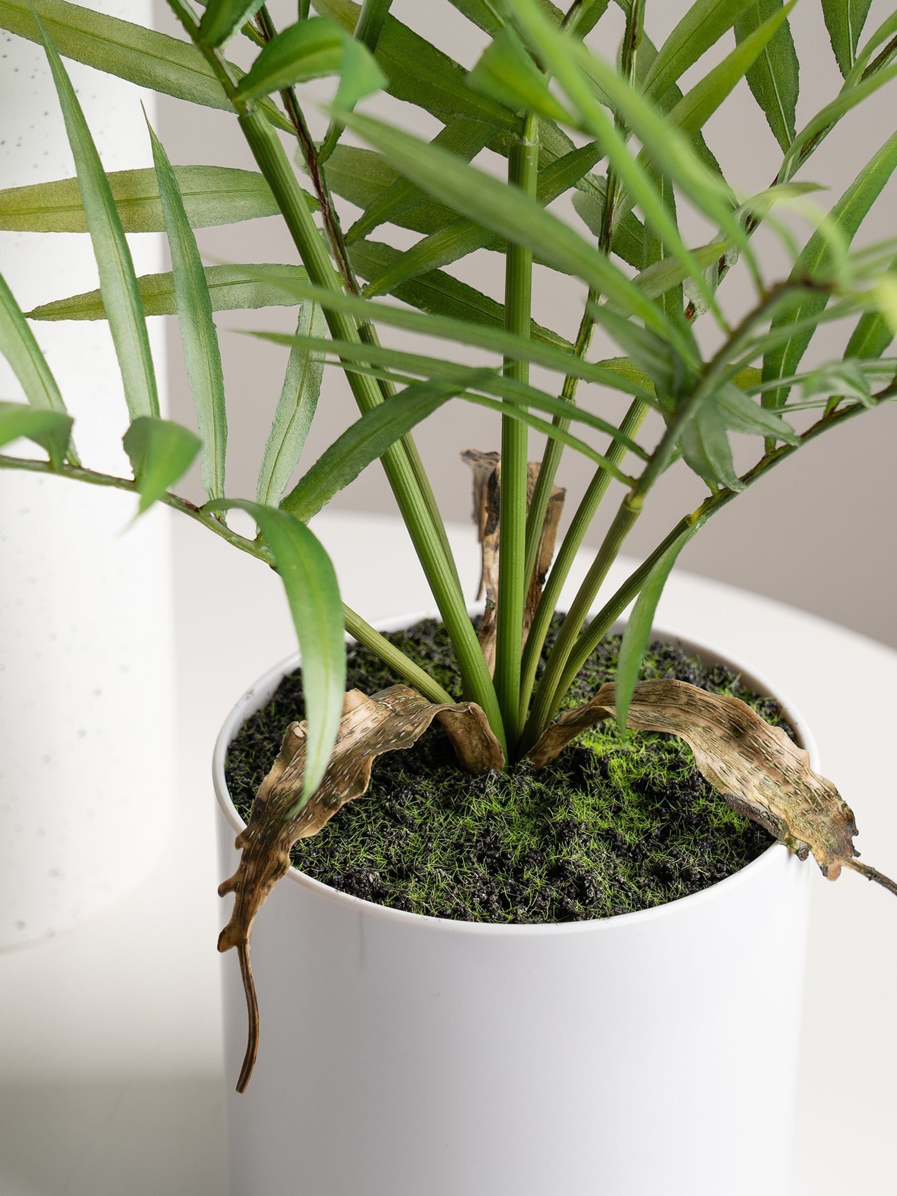 Scottish Everlastings artificial fern tree 40cm, imported from the UK