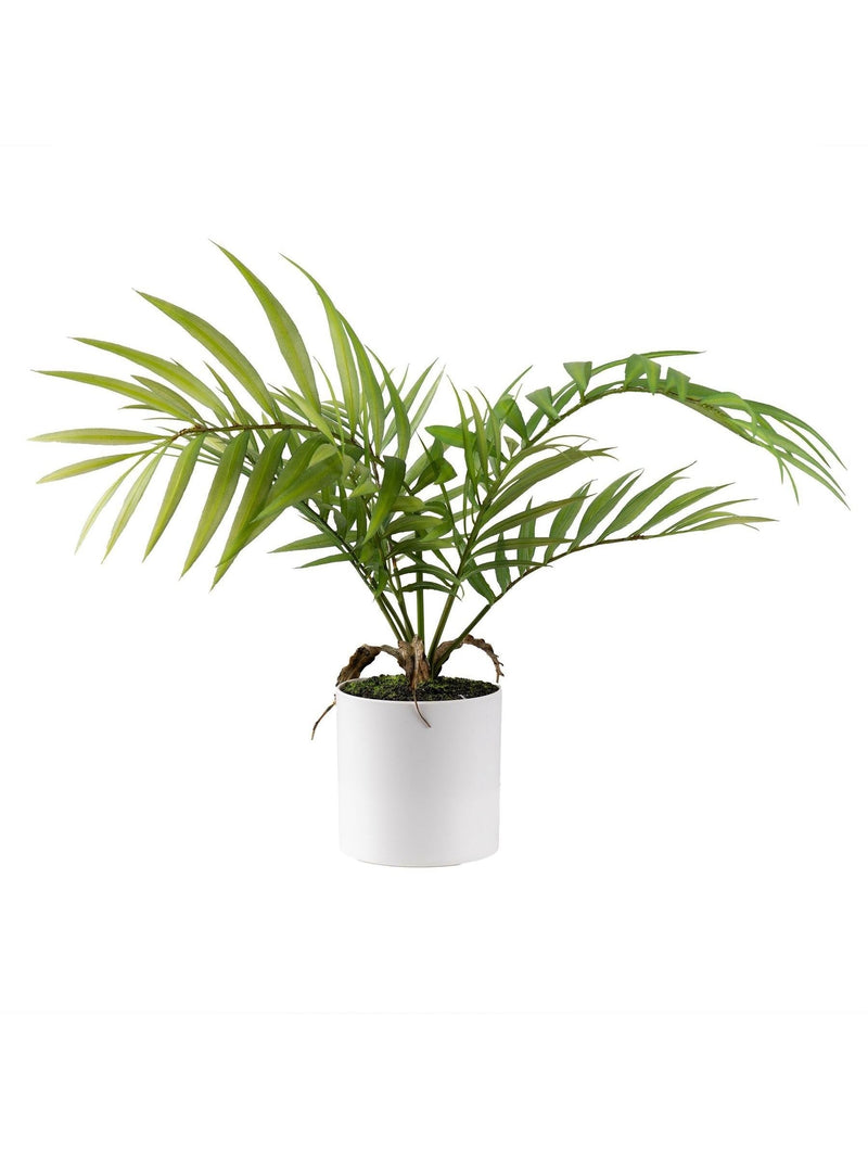 Scottish Everlastings artificial fern tree 40cm, imported from the UK