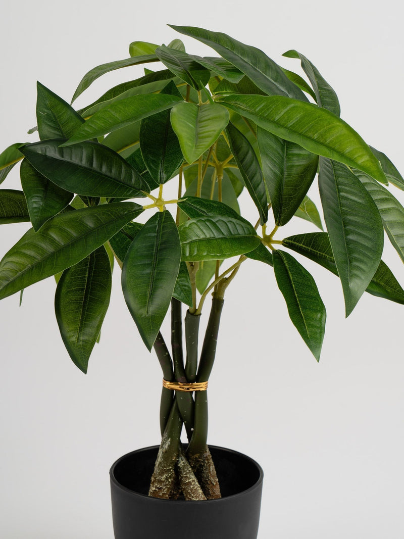 Scottish Everlastings green artificial fortune tree 45cm - British product