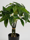 Scottish Everlastings green artificial fortune tree 45cm - British product