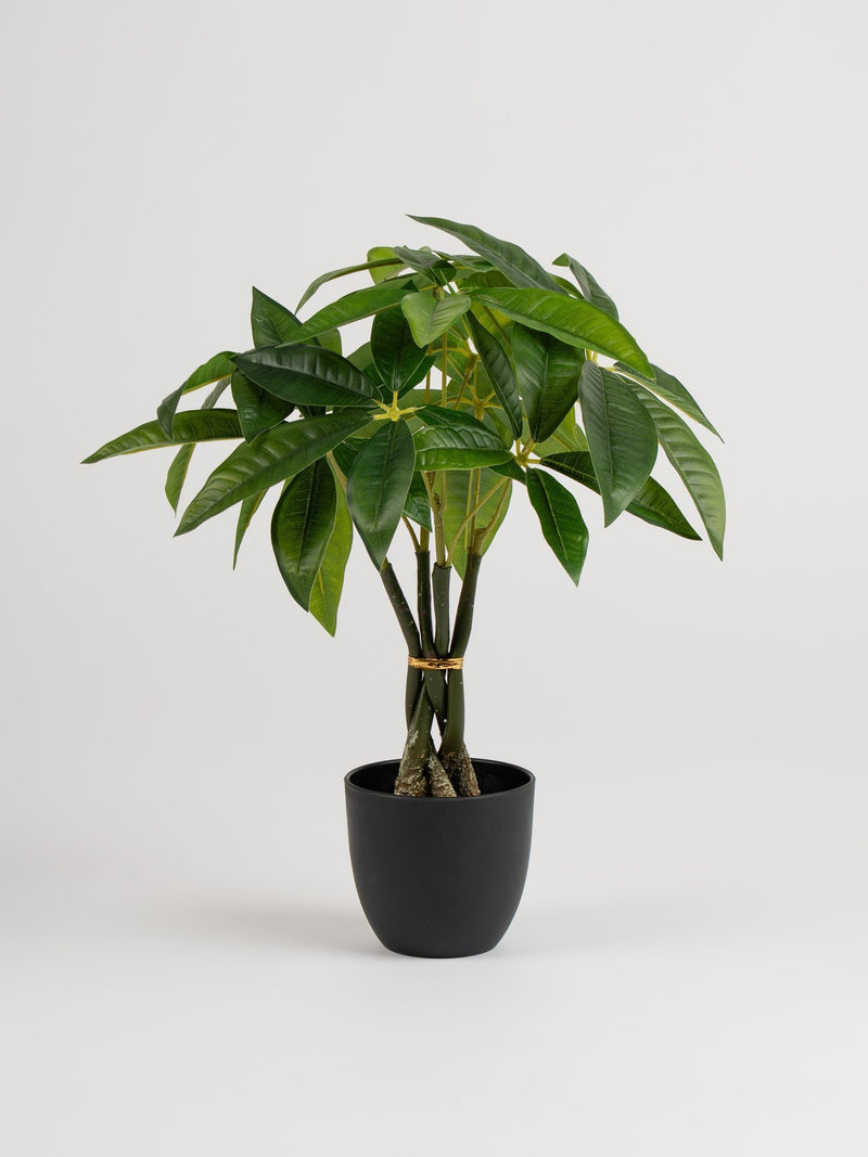 Scottish Everlastings green artificial fortune tree 45cm - British product