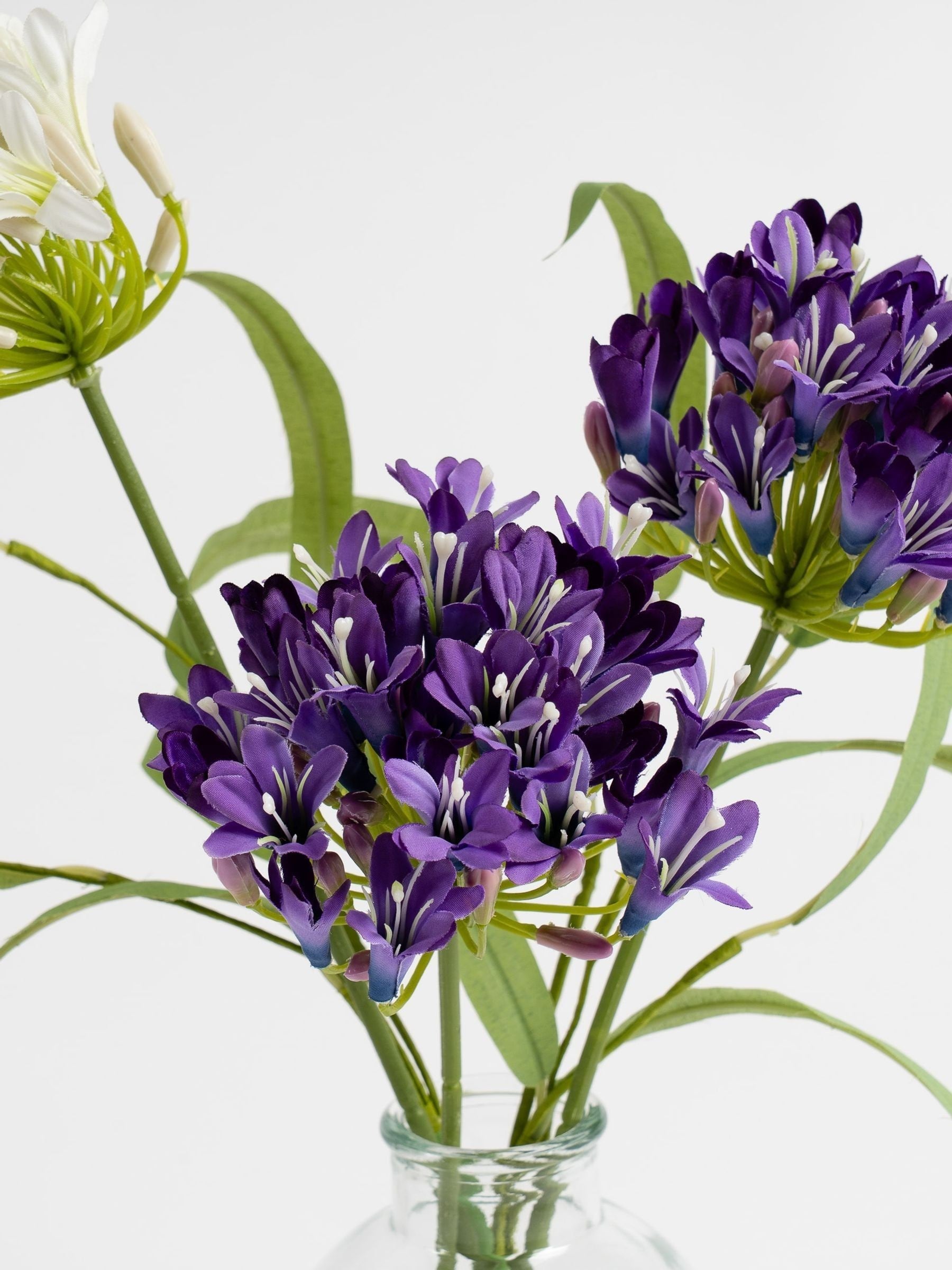 Scottish Everlastings artificial agapanthus purple 40cm, imported from the UK