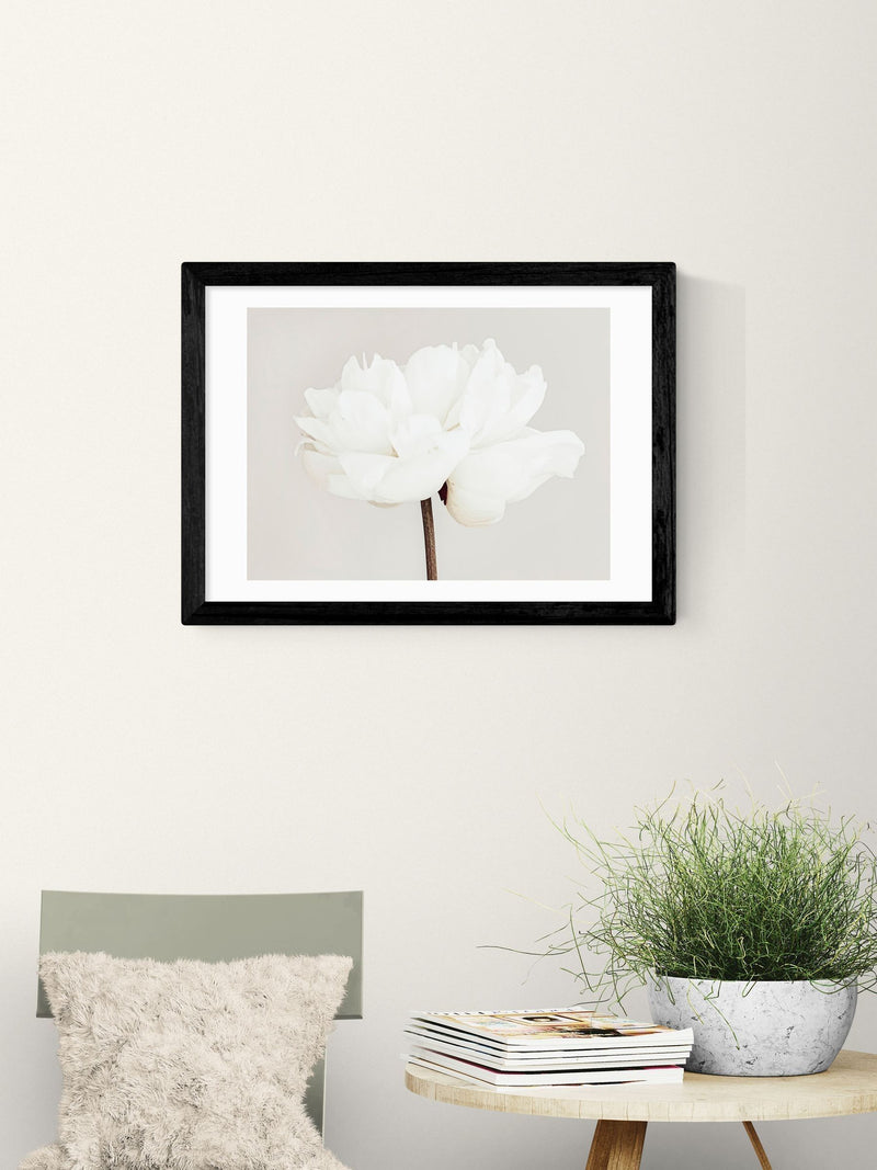 East End Prints Black White Bloom Serenity Wall Art Print by 1x Gallery