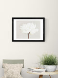 East End Prints Black White Bloom Serenity Wall Art Print by 1x Gallery