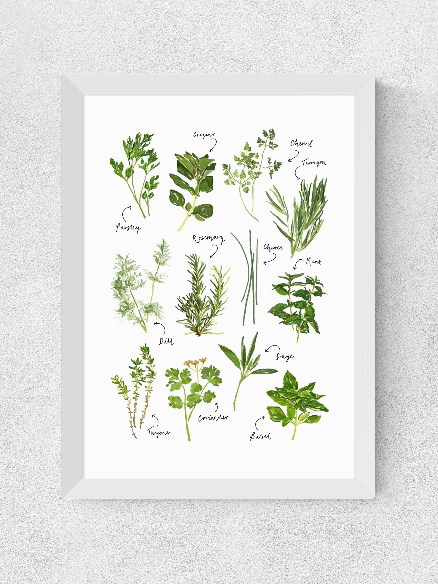 East End Prints All the Herbs wall art print - British product