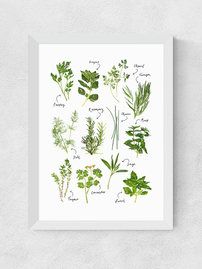 East End Prints All the Herbs wall art print - British product