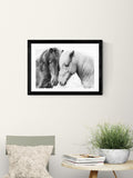 East End Prints Black Horse Love Wall Art Print by Sisi and Seb