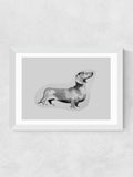 East End Prints Sausage Dog print - British product