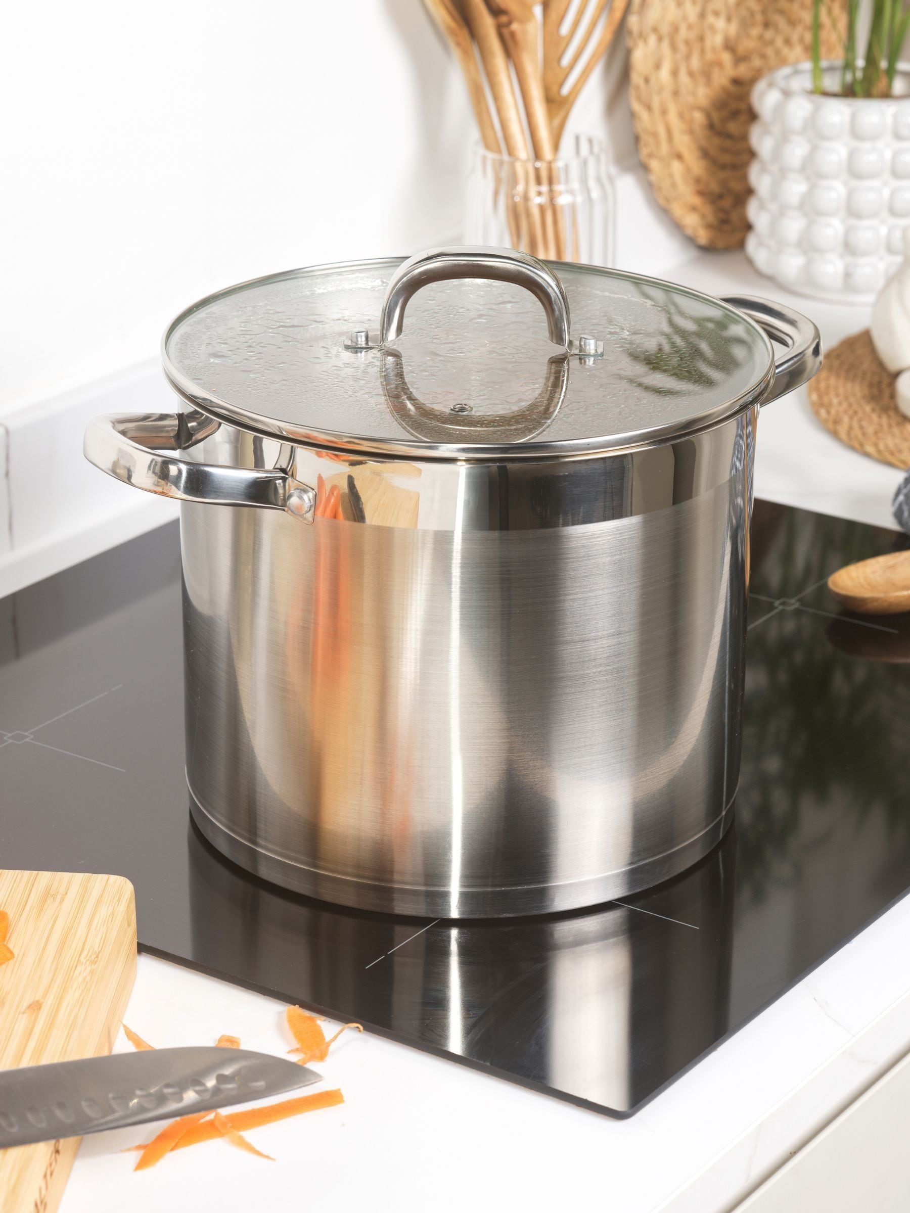Salter 24cm stainless steel stockpot with glass lid, imported from the UK
