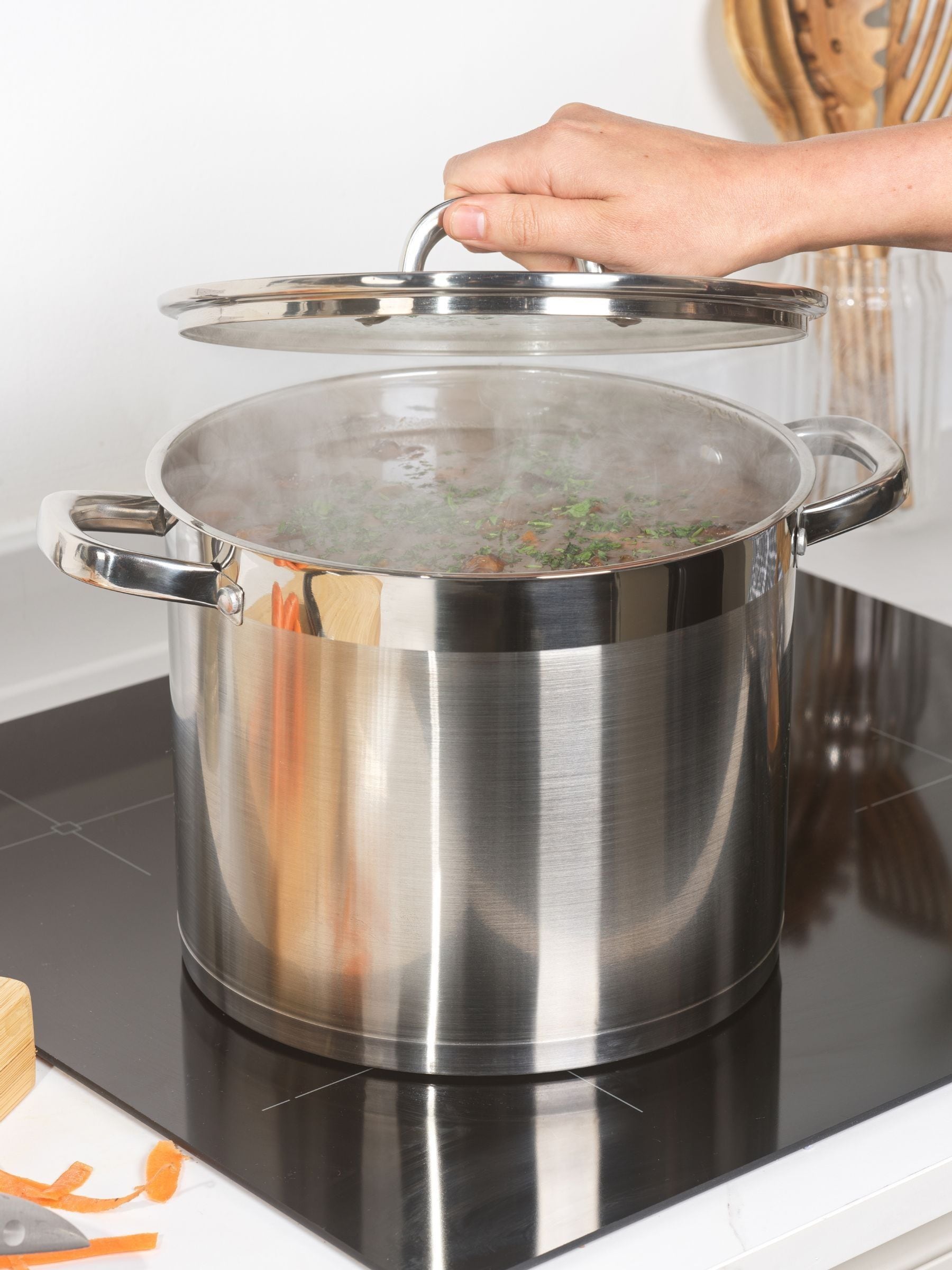 Salter 24cm stainless steel stockpot with glass lid, imported from the UK