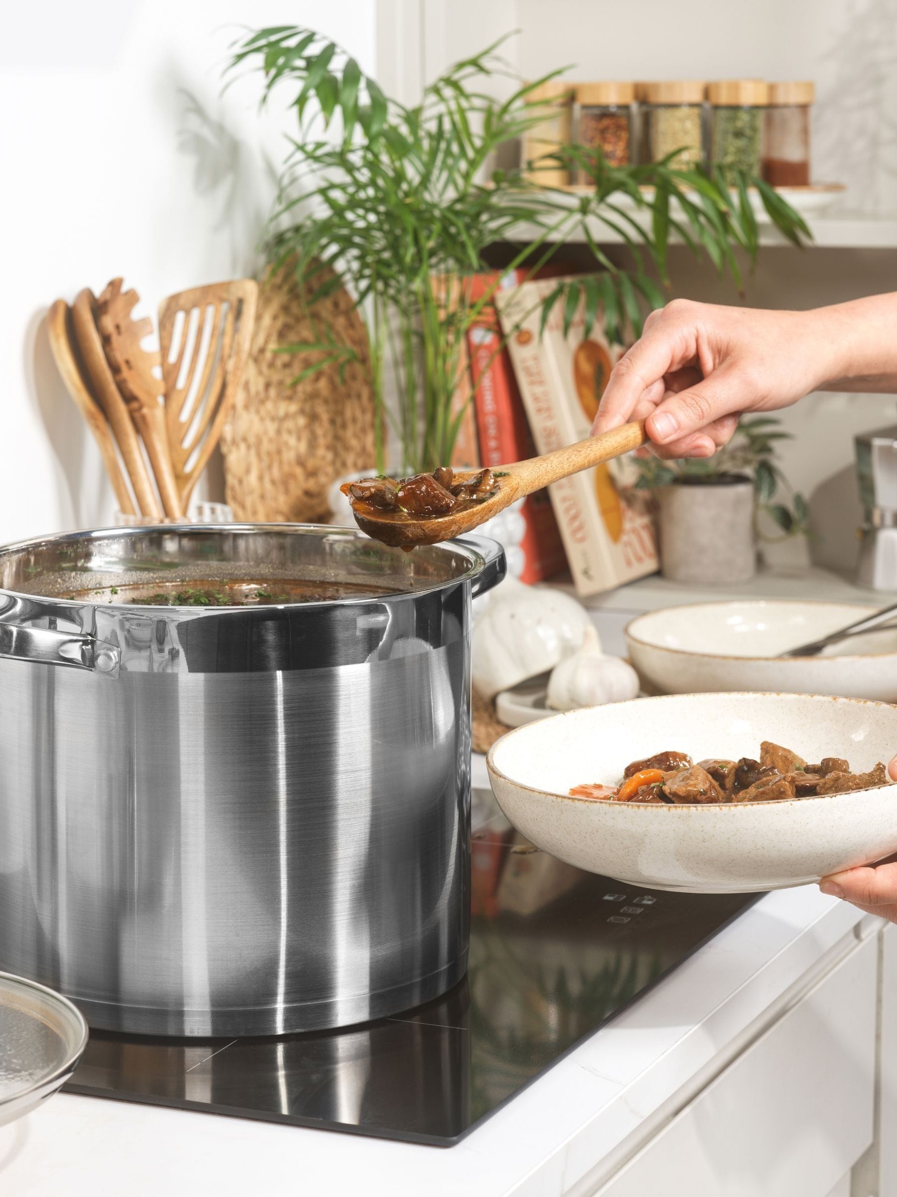 Salter 24cm stainless steel stockpot with glass lid, imported from the UK