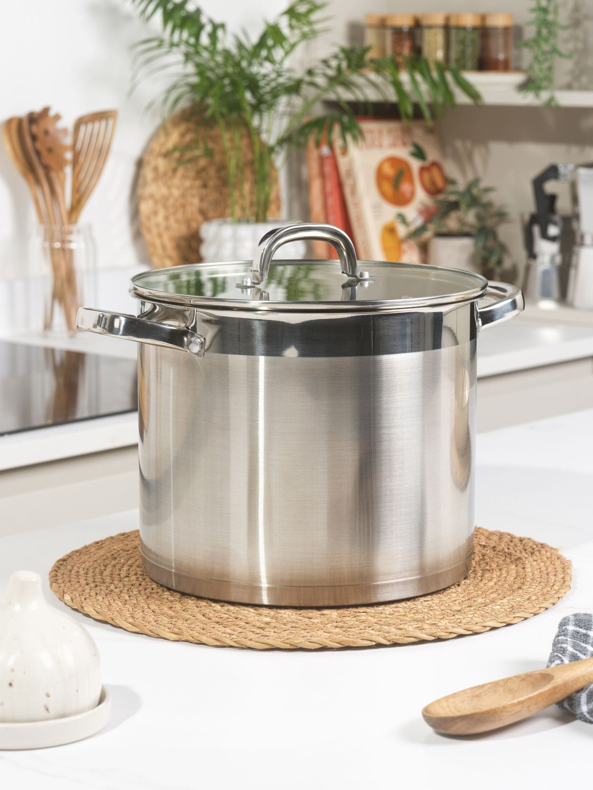 Salter 24cm stainless steel stockpot with glass lid, imported from the UK