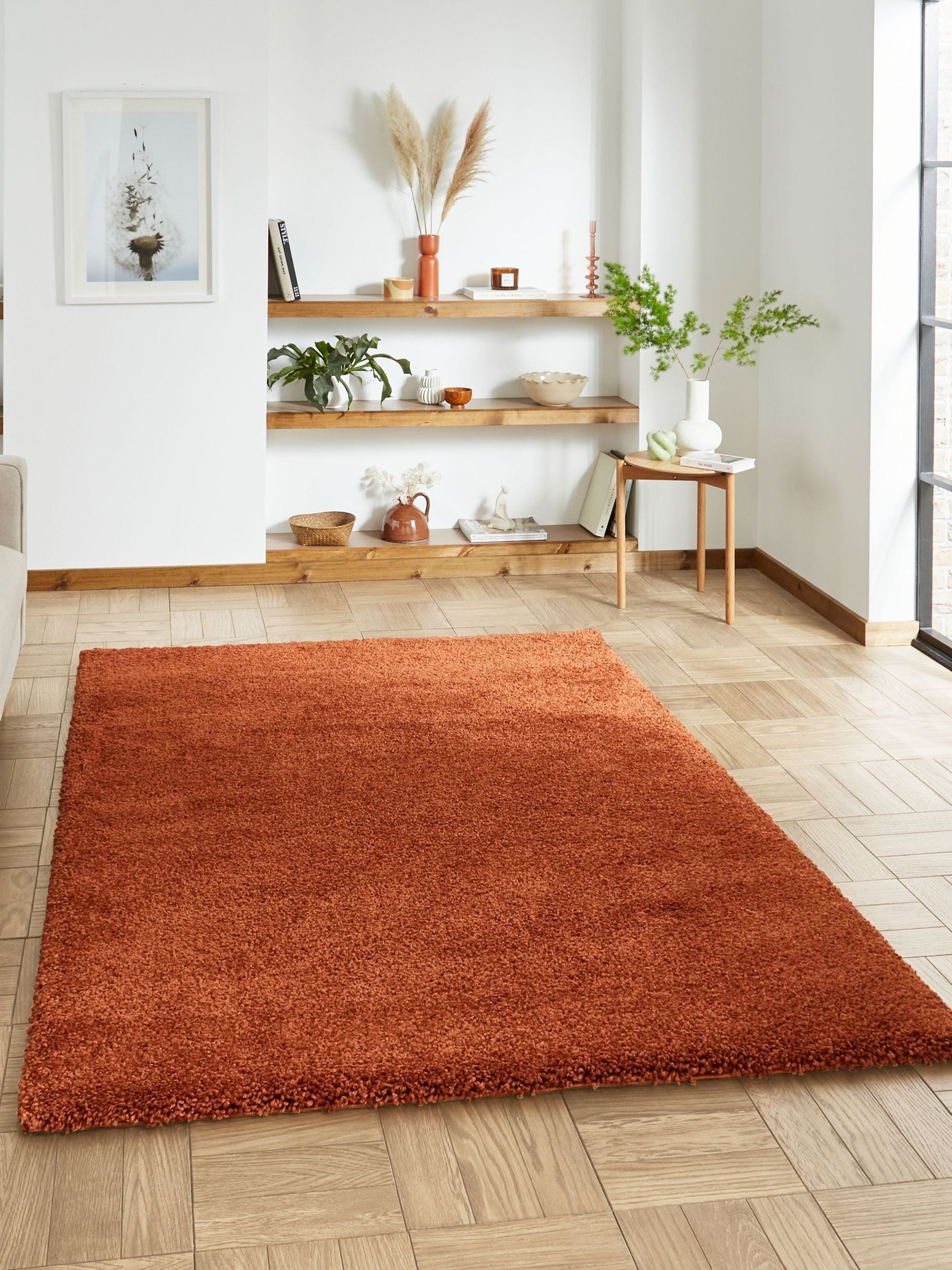 Think Rugs Terracotta Sierra Plain Shaggy Rug