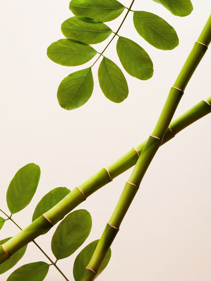Rituals polishing exfoliator Moringa bamboo 75ml, imported from the UK