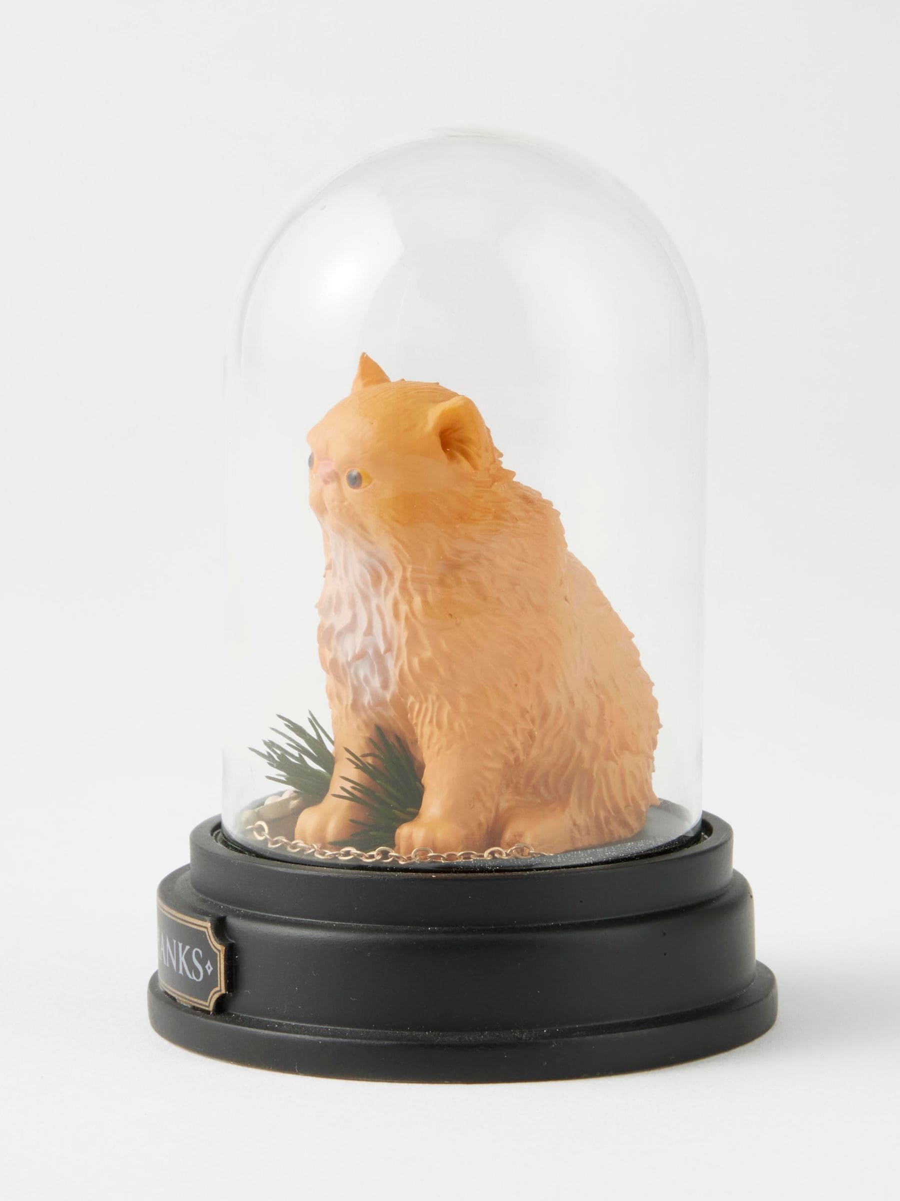 Harry Potter collectible Crookshanks Curiosity Cloche - British product