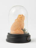 Harry Potter collectible Crookshanks Curiosity Cloche - British product