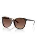 Coach square sunglasses dark tortoise brown gradient lenses (British brand)