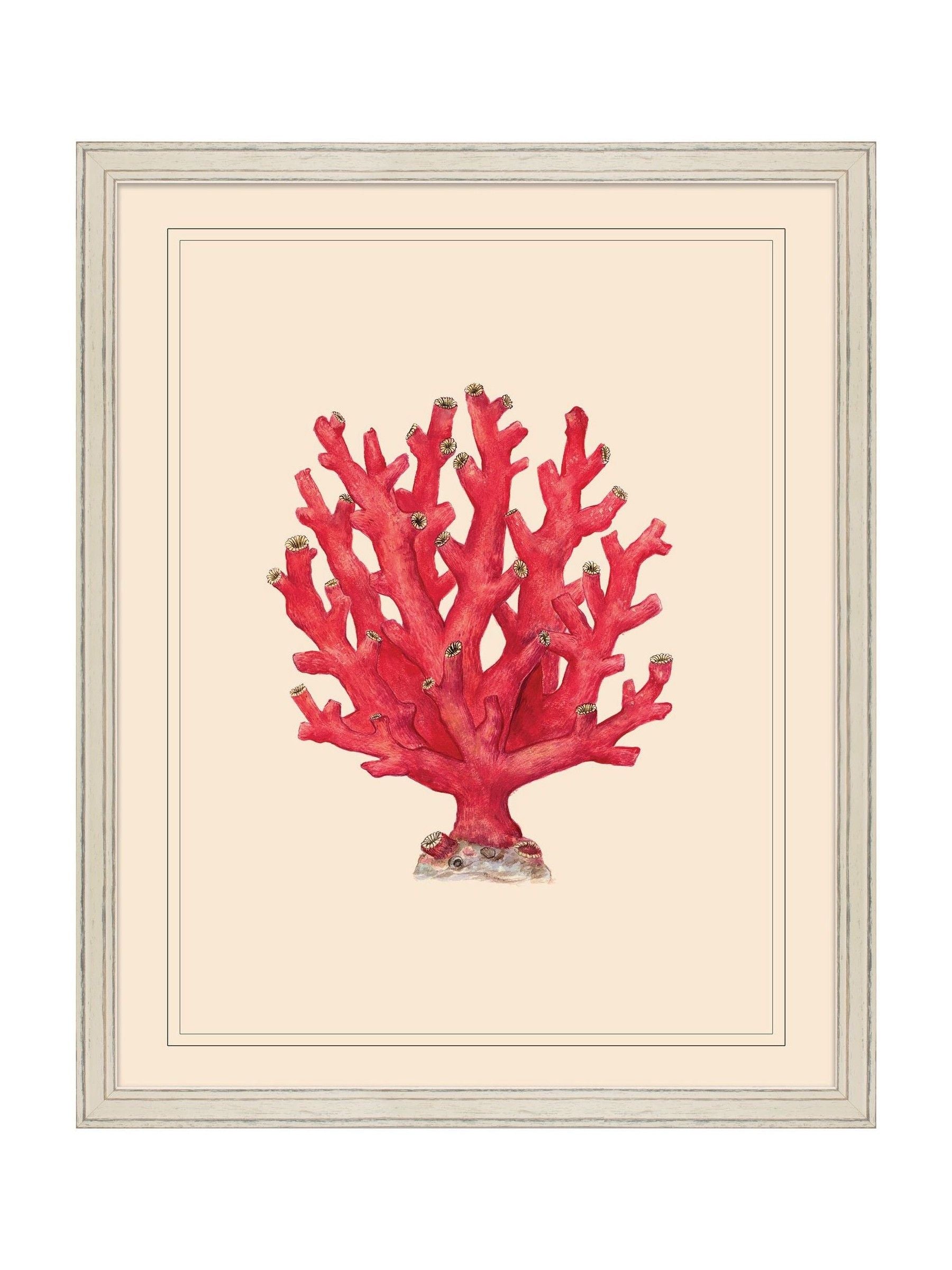 Brookpace Lascelles red coral framed wall art, coastal design (British brand)