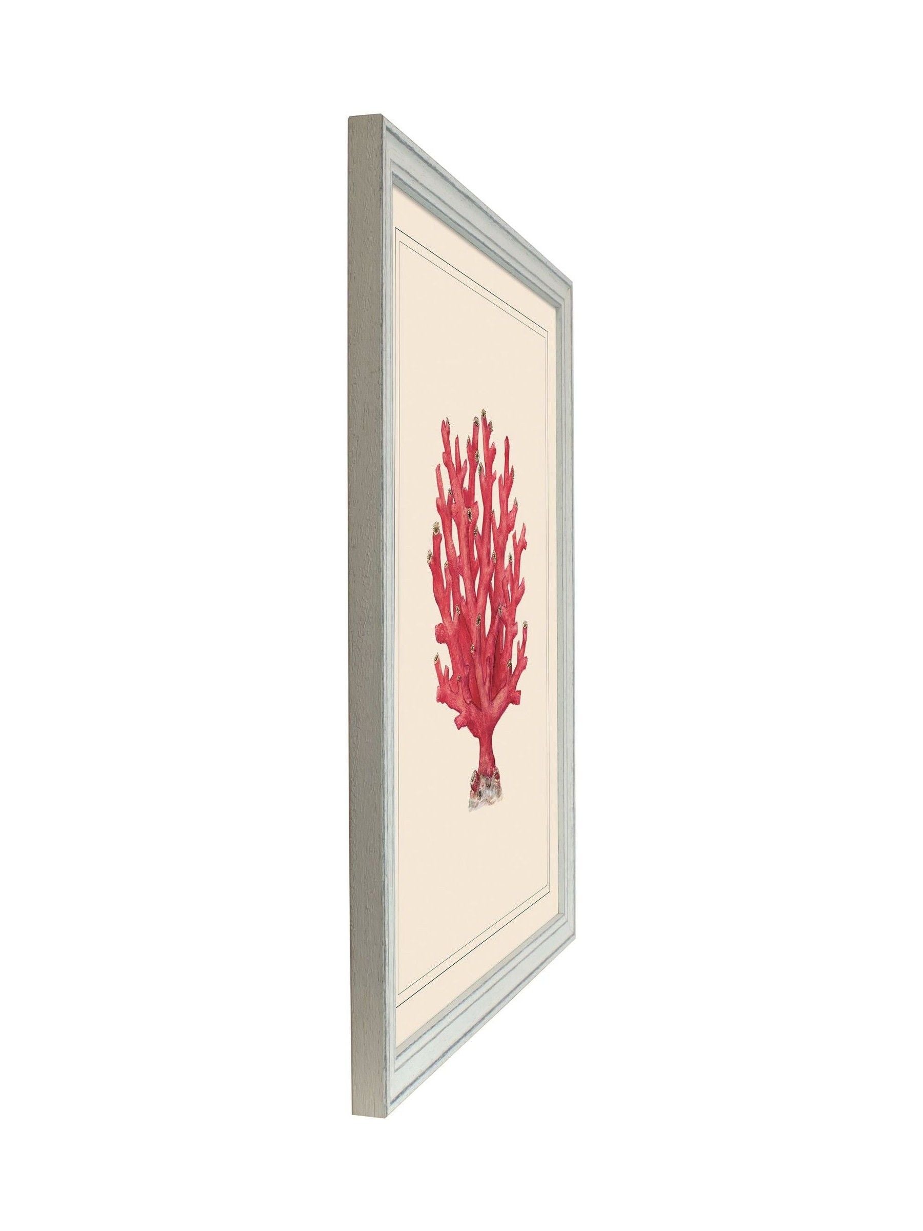 Brookpace Lascelles red coral framed wall art, coastal design (British brand)