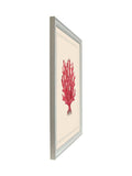 Brookpace Lascelles red coral framed wall art, coastal design (British brand)