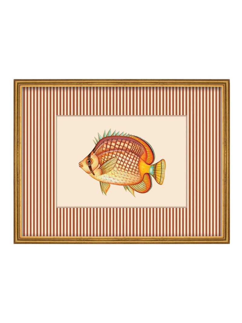 Brookpace Lascelles tropical fish wall art red striped 43x33cm - British product