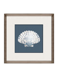 Brookpace Lascelles porcelain scallop shell wall art 56cm, UK version