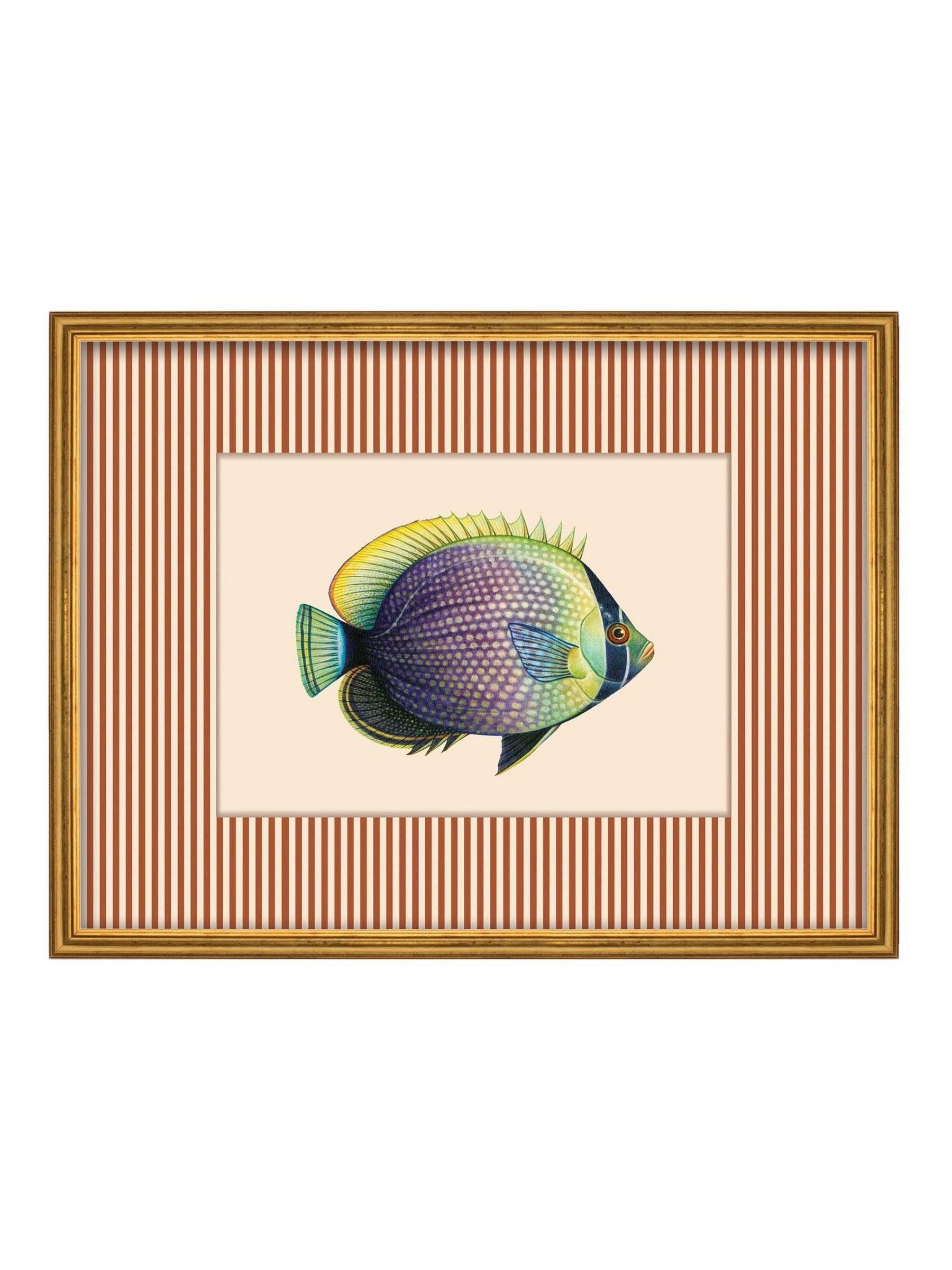 Brookpace Lascelles wall art tropical fish print 430x330mm, imported from the UK