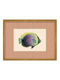 Brookpace Lascelles wall art tropical fish print 430x330mm, imported from the UK