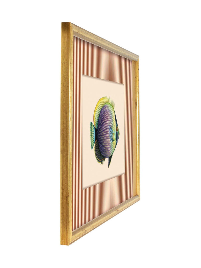 Brookpace Lascelles wall art tropical fish print 430x330mm, imported from the UK