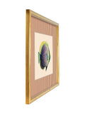 Brookpace Lascelles wall art tropical fish print 430x330mm, imported from the UK