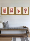 Brookpace Lascelles red shrimp wall art gold frame - British product