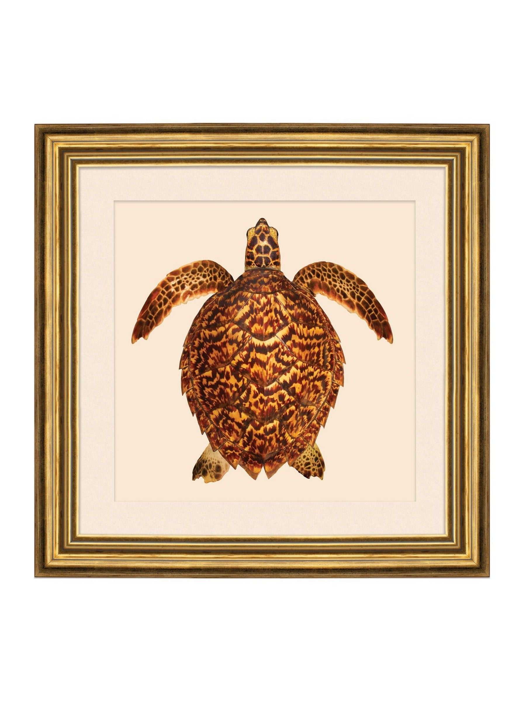 Brookpace Lascelles turtle coastal wall art 48cm (British brand)